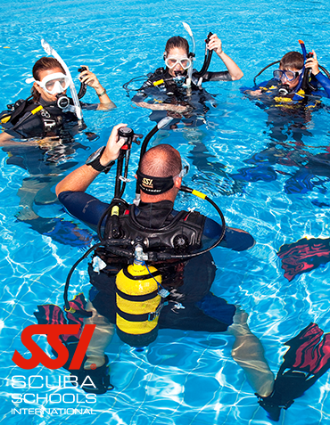 SSI-OWI-2